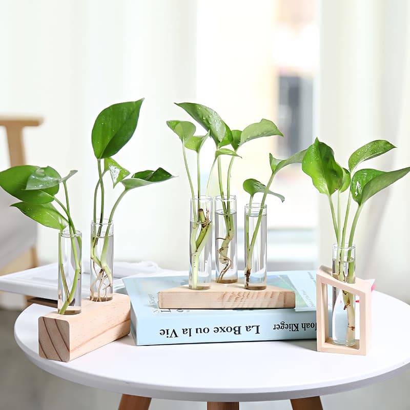 Petit vase de bouturage en verre