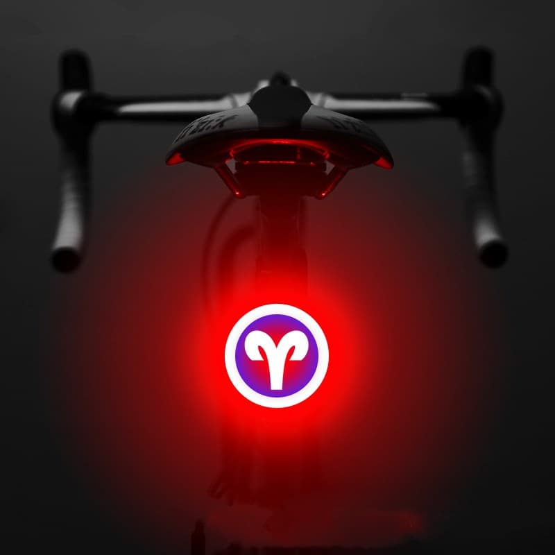 Bicycle Intelligent Auto Brake Sensor Light Waterproof LED