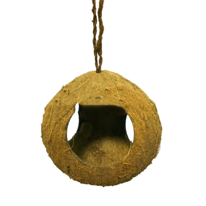 Nichoir en noix de coco