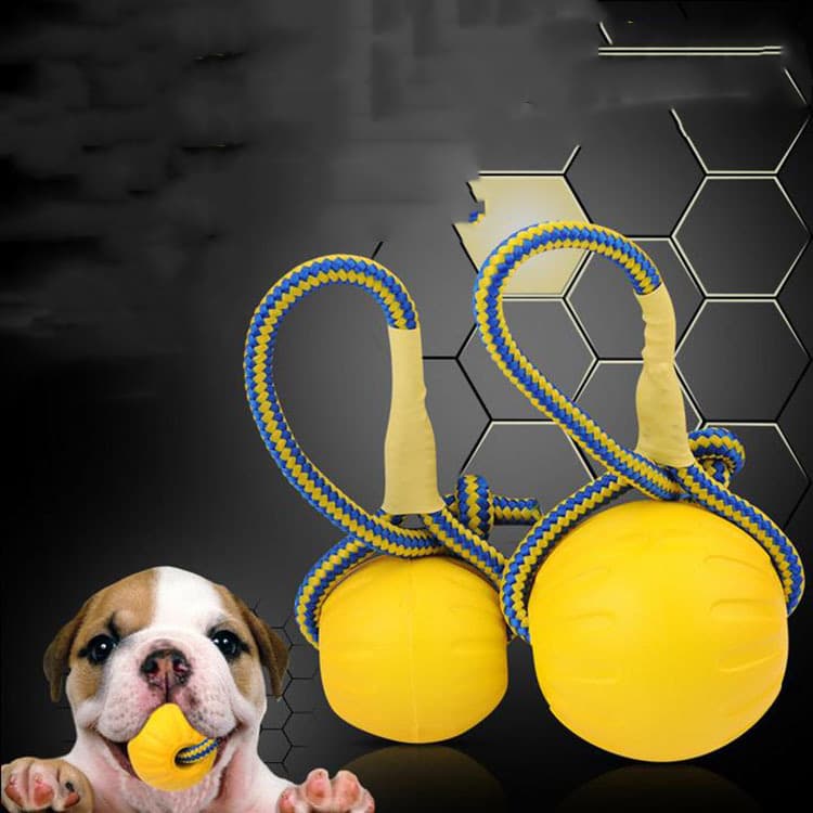EVA Floating Pet Dog Training Ball Puppy Bite Resistant With Rope Pet
