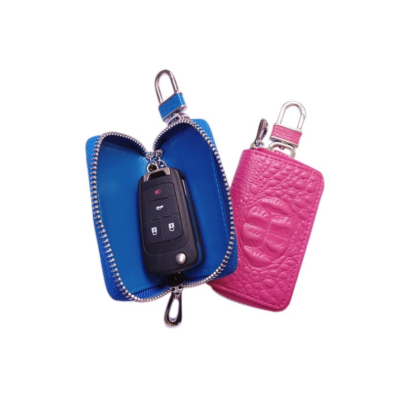 Car key case