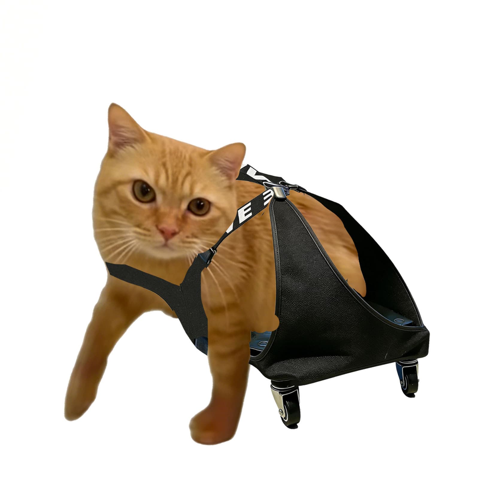 Hind leg disabled cat wheelchair mop bag